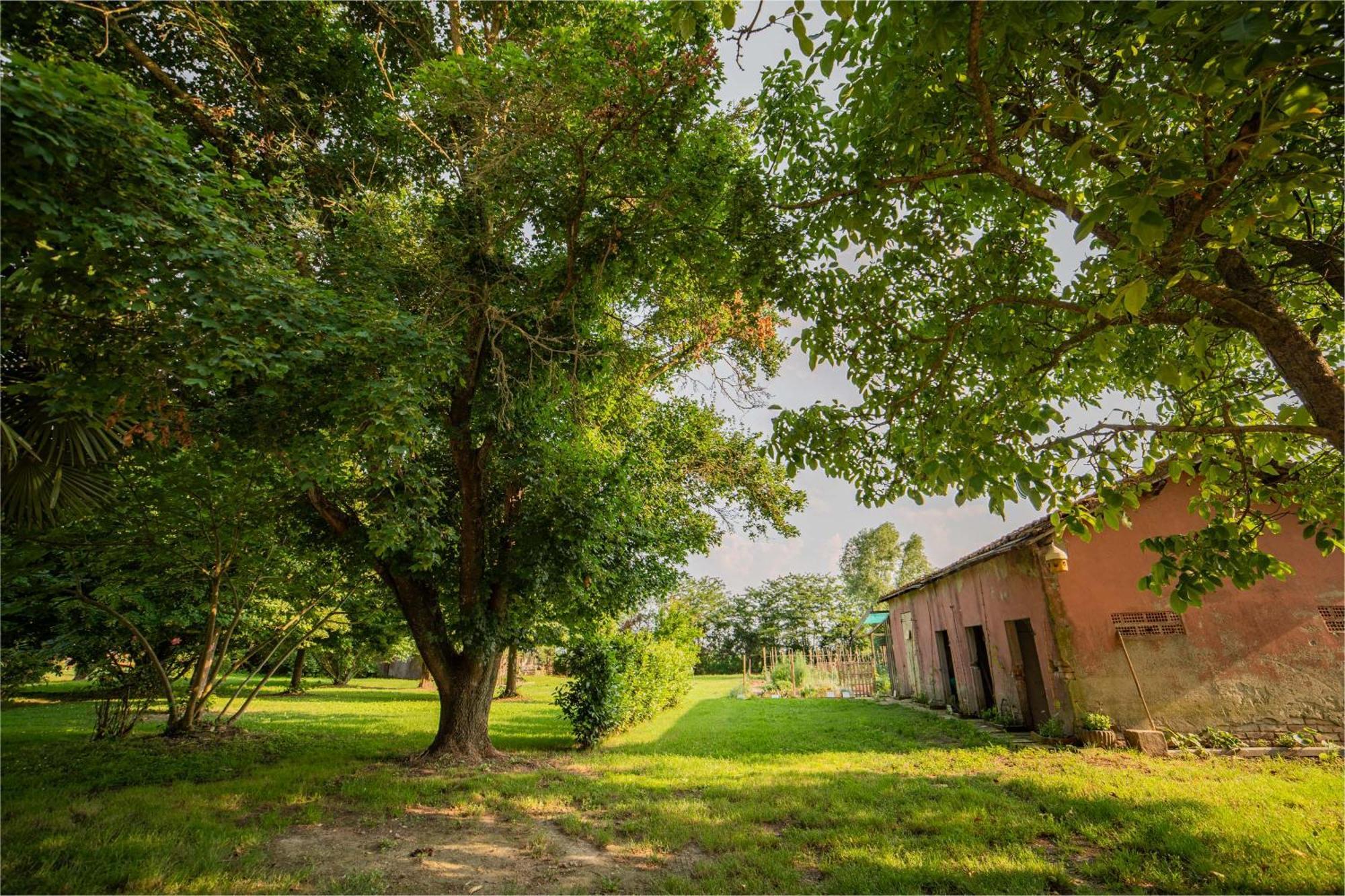 Tenuta Ca' Zen Taglio Di Po Exterior photo